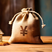 网站盈利核心思路：一份给新站长的全方位、高精度变现策略！缩略图